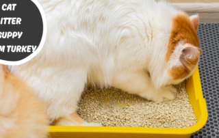 cat litter supply from Turkey