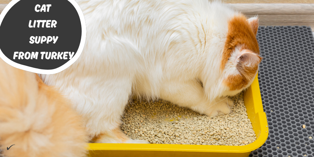 cat litter supply from Turkey