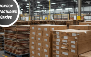 carton box manufacturing Turkey