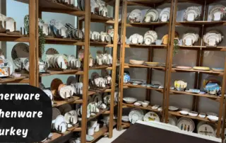dinnerware kitchenware turkey